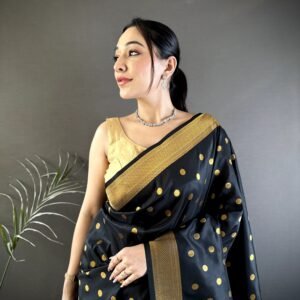 Unique Paithani Collection