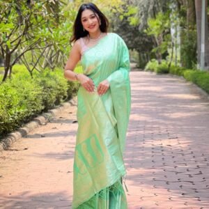 Pure Banarasi Zari Saree - Image 3