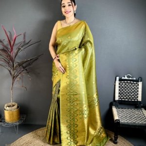 Ioniq South Pattu Banarasi Silk Saree - Image 6