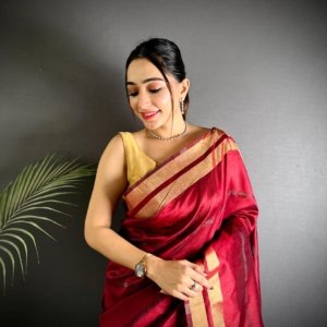Royal Raw Silk Weaving Saree - Image 8