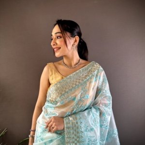 Golden Foil Organza Silk Saree - Image 3