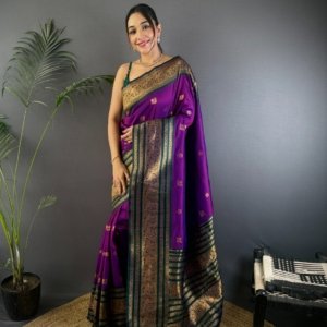 Two-Tone Narayan Soft Silk Saree