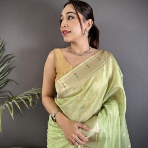 Royal Mina Butti Paithani Tissue Silk Saree - Image 3