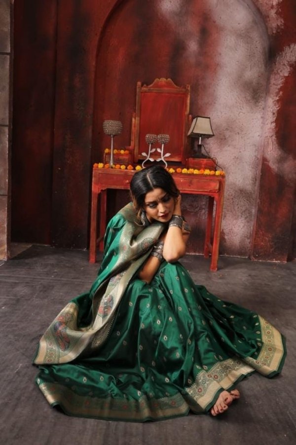 Mercury Royal Meenakari Silk Saree