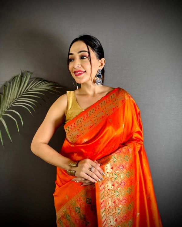 Multicolor Meenakari Patola Banarasi Lichi Silk Saree