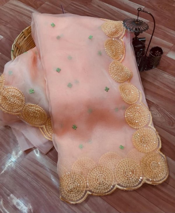 Sequin Border Organza Silk Saree