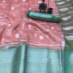 Elegant Organza Silk Saree - Image 4